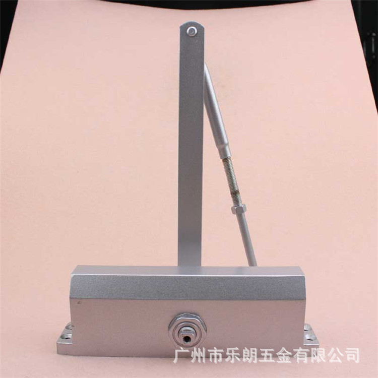 麻豆国产在线看看免费麻豆毛片网RDC-03 方背闭门器